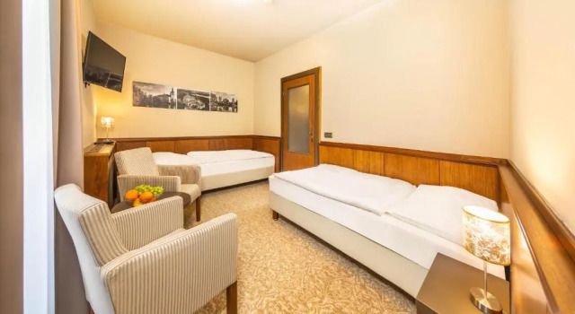 Двухместный номер Economy Wellness Hotel Zlatá Hvězda