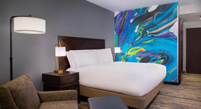 Двухместный номер Hilton Americas - Houston
