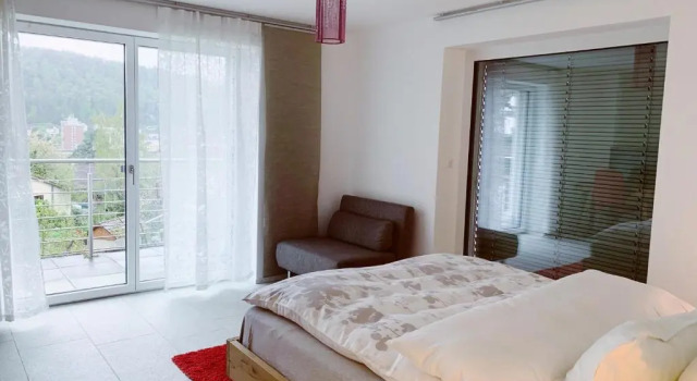 Люкс N1 Standalone House Baden