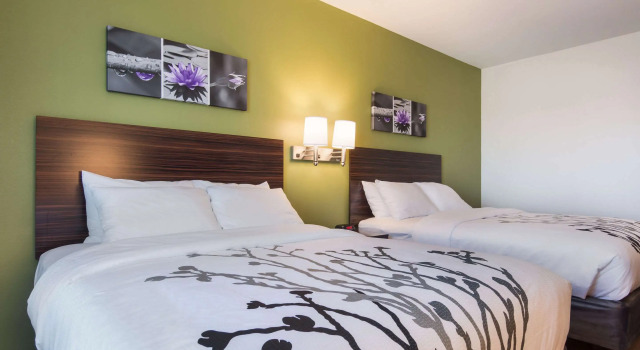 Четырёхместный номер Standard Sleep Inn East Camden