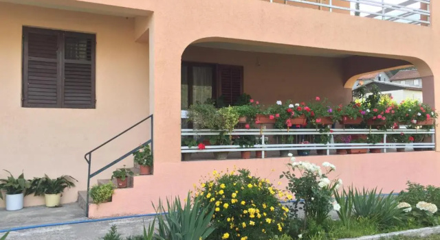 Студия Apartment Davidovic