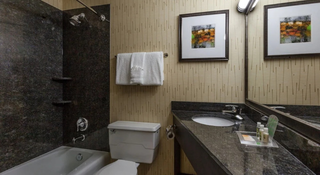 Двухместный номер Standard с видом на город Holiday Inn Chicago North-Evanston by IHG
