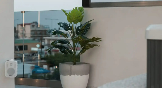 Люкс Deluxe Jimmy’s Garden