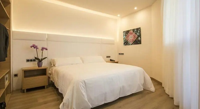Одноместный номер Standard Hotel Palacio de Aiete