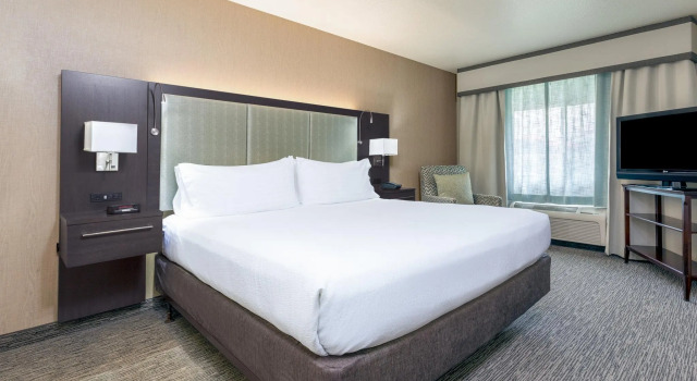 Двухместный люкс c 1 комнатой Holiday Inn Auburn by IHG