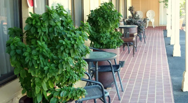 Номер Standard Murray River Motel