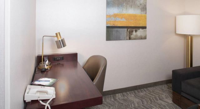 Четырёхместный люкс SpringHill Suites by Marriott Billings