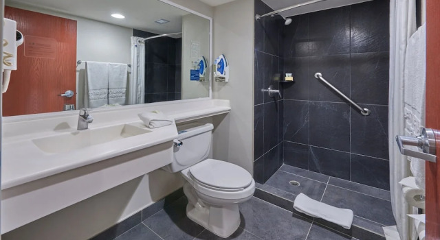 Двухместный номер Superior City Express by Marriott Irapuato