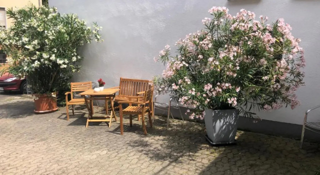 Schöne Ferienwohnung Gewölbekeller Fachwerkhaus