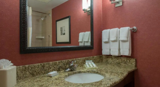 Двухместный номер Premium Hilton Garden Inn Tupelo