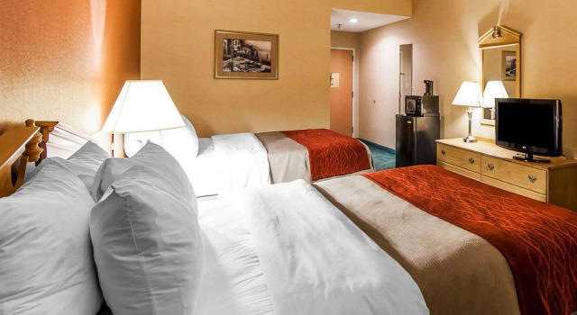 Standard- firedobbelt værelse Econo Lodge Newport Smoky Mountains Gateway