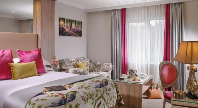 Двухместный номер Standard Fitzgeralds Woodlands House Hotel