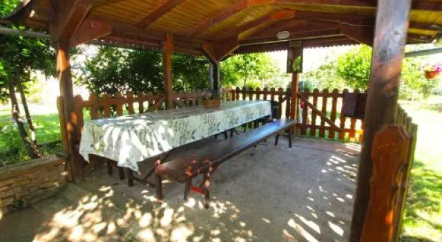 Apartments Fazana 1112