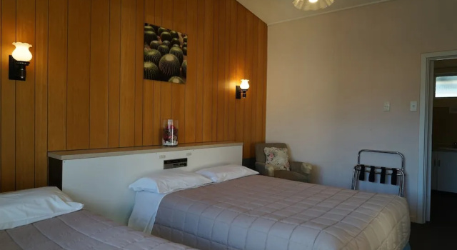 Люкс Standard Tui Lodge Motel