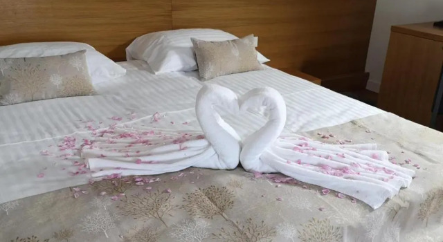 Двухместный номер Standard Hotel Palcich
