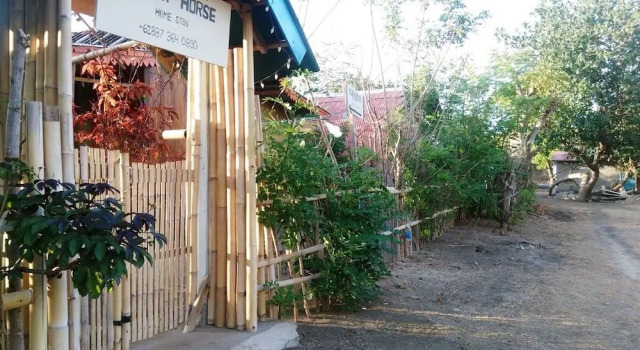 Black Horse Meno, Book Hotel Gili Meno 