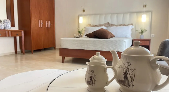 Семейный номер Standard с балконом Alkyonis Hotel