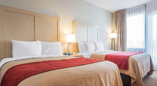 Четырёхместный номер Standard Comfort Inn & Suites
