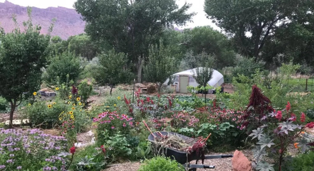 Номер Standard Red Moon Lodge