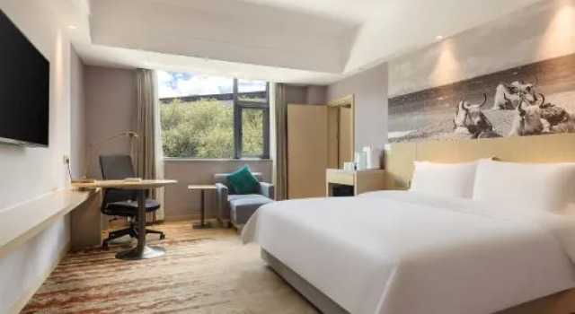 Люкс Jardin Secret Hotel Lhasa