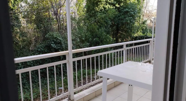 Wonderful and cozy 50m from the sea