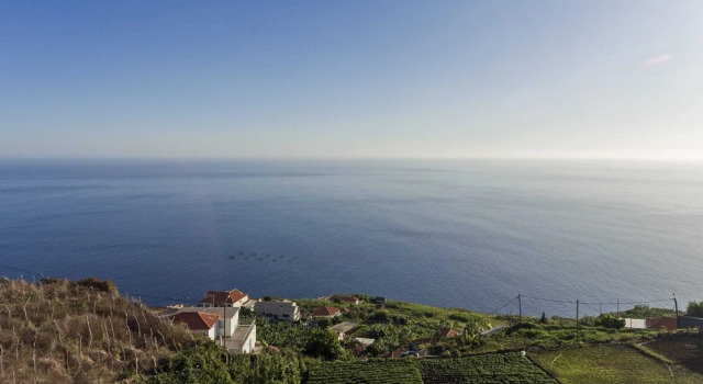 Searenity Vacations Home II, Boek Hotel Arco da Calheta Madeira