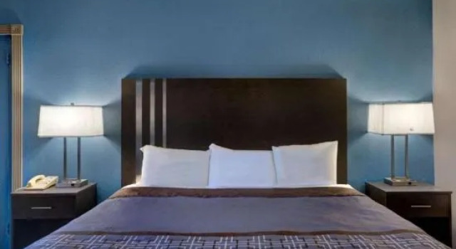 Люкс Toyoko Inn JR Wakayama eki Higashi guchi