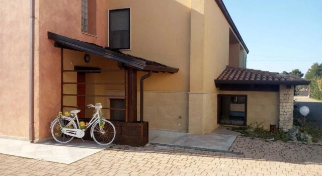 The Holiday House