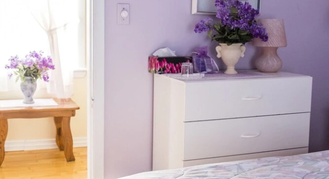 Suite Gite des Lilas