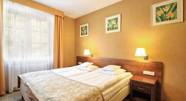 Двухместный номер Standard Hotel Centuria
