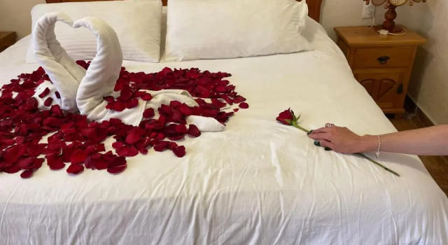 Номер Standard Hotel Feregrino