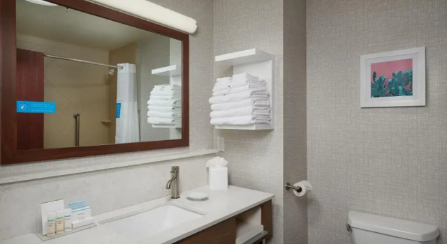 Двухместная студия Hampton Inn & Suites Phoenix-Surprise