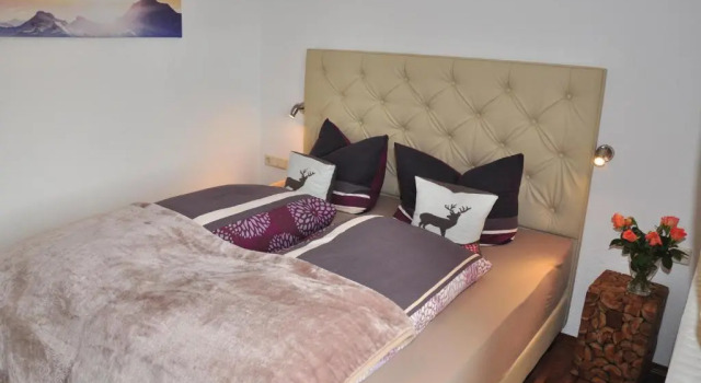 Апартаменты c 1 комнатой с балконом и с видом на горы Appartment Haus Birgit