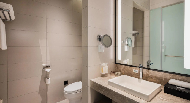Двухместный номер Standard Holiday Inn Resort Mengding Mountain