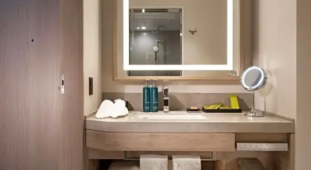 Двухместный номер Guest DoubleTree by Hilton Toyama
