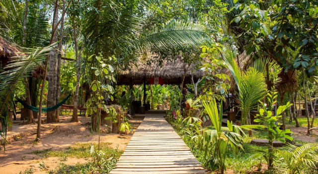 Бунгало Tronco Tambopata Adventure