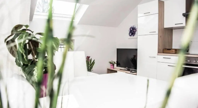 Apartment PourinGraz für Kunst- und Tennisliebhaber, Réserver Appartement Eggenberg Graz, près de Château Eggenberg