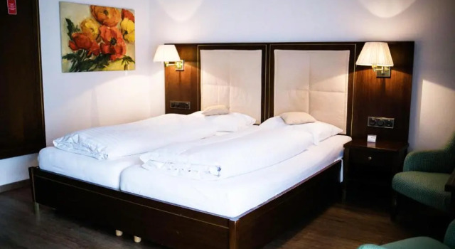 Двухместный номер Standard Hotel Friesacher`s Aniferhof