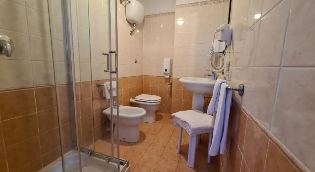 Трёхместный номер Comfort Hotel Alexander