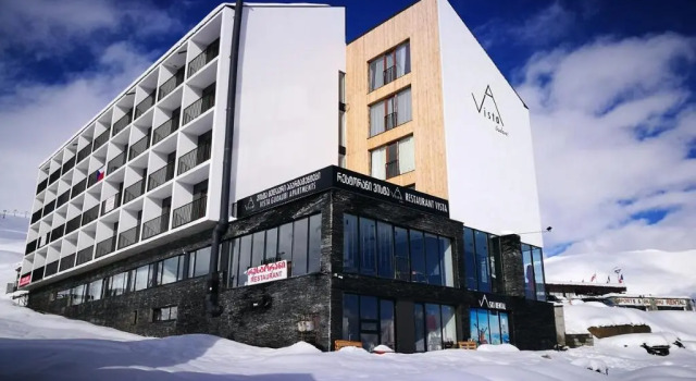 Апартаменты Panorama Vista Gudauri Apartments