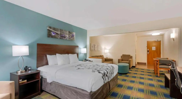 Одноместный люкс Sleep Inn & Suites Smyrna - Nashville Area