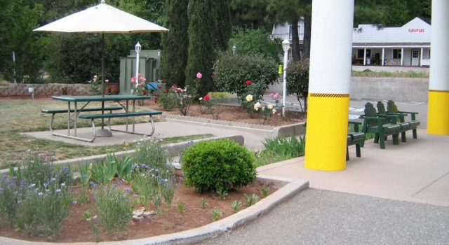 Четырёхместный номер Standard Westhaven Inn Pollock Pines Camino