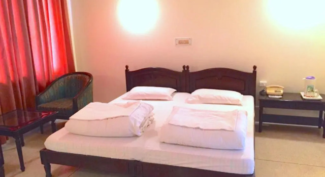 Двухместный номер Deluxe Hotel Alpana