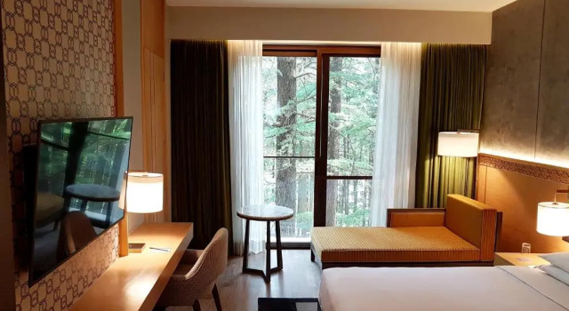 Двухместный номер Hyatt Regency Dharamshala Resort