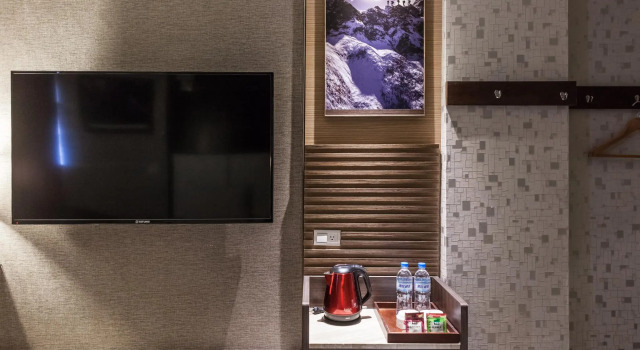 Двухместный номер Economy Maple Hotel