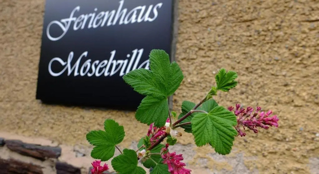 Вилла Moselvilla Enkirch