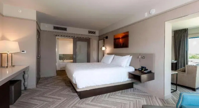 Люкс с балконом и с видом на парк Hilton Garden Inn Mobile Downtown