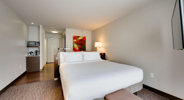 Двухместный номер Premium Hilton Garden Inn North Houston Spring