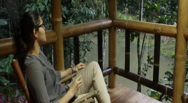 Номер Standard Macaw Lodge