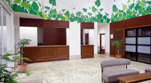Hotel Robertson Harbor, Rezervovat Hotel Wellness hotely v Miyako Island, SPA